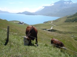 Chambre d'hotes, studio, chalet et g�te � Aussois en Vanoise